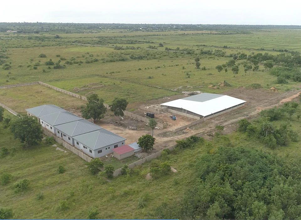 Farm buildings surrounded by the Ghanaian landscape