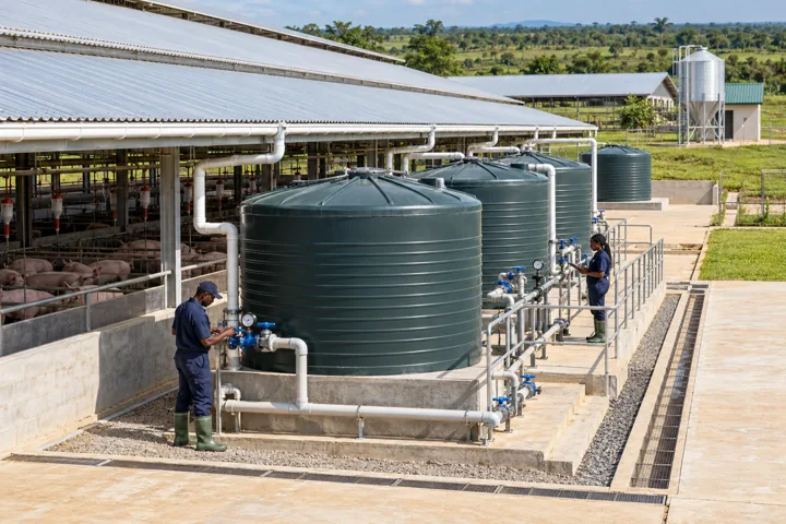 Large covered water tanks and engineered pipework serving a modern commercial livestock building. AI-generated illustration — not a photograph of Royal Baobab Farms.